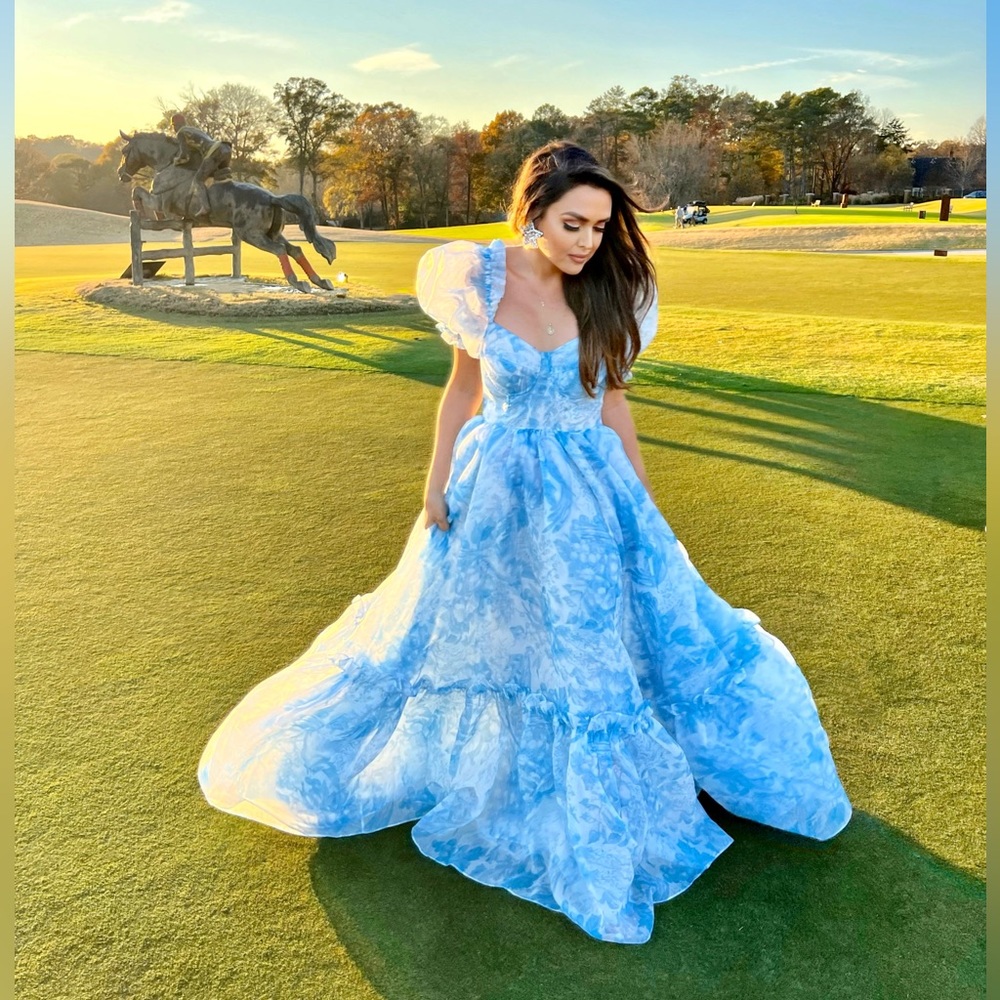 Selkie Dress Ritz Baby Blue Toile NEW